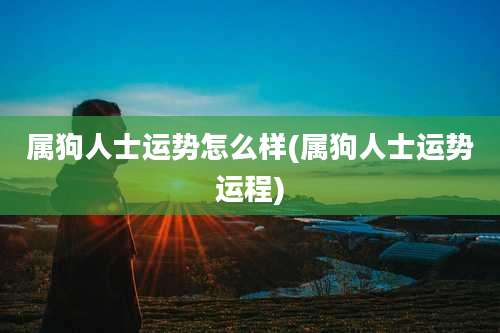 属狗人士运势怎么样(属狗人士运势运程)