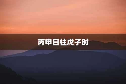 丙申日柱戊子时