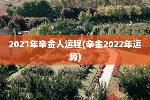 2021年辛金人运程(辛金2022年运势)