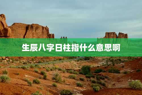 生辰八字日柱指什么意思啊