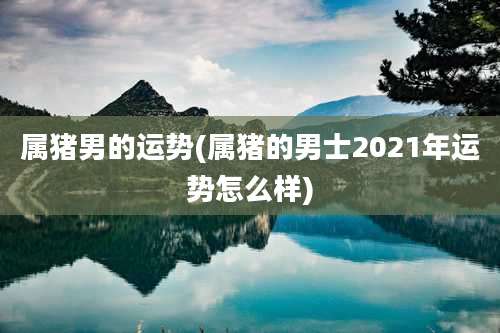 属猪男的运势(属猪的男士2021年运势怎么样)