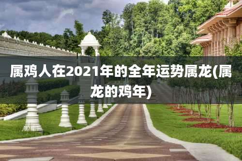 属鸡人在2021年的全年运势属龙(属龙的鸡年)