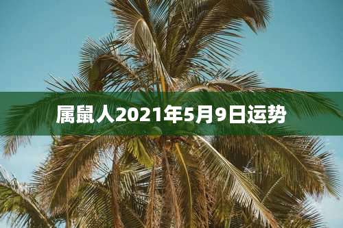 属鼠人2021年5月9日运势
