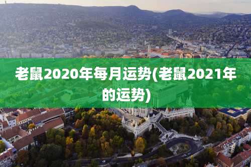 老鼠2020年每月运势(老鼠2021年的运势)