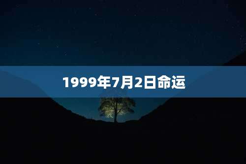 1999年7月2日命运