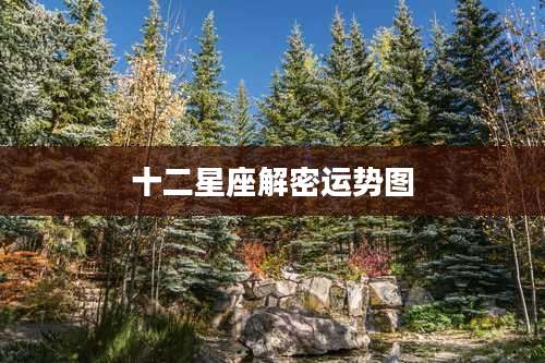 十二星座解密运势图