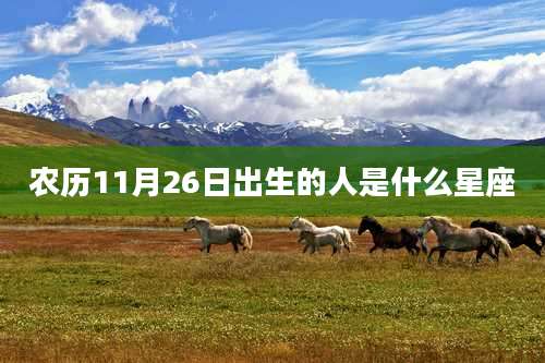 农历11月26日出生的人是什么星座