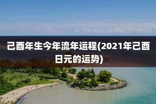 己酉年生今年流年运程(2021年己酉日元的运势)