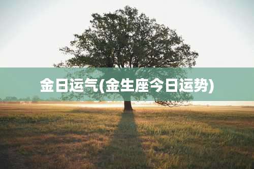 金日运气(金生座今日运势)