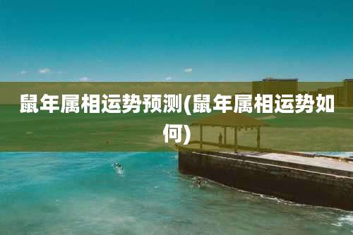 鼠年属相运势预测(鼠年属相运势如何)