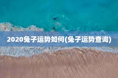 2020兔子运势如何(兔子运势查询)