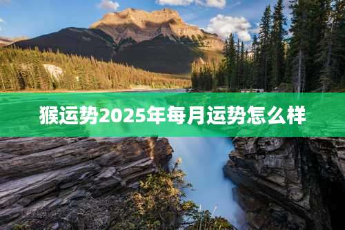 猴运势2025年每月运势怎么样