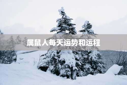 属鼠人每天运势和运程