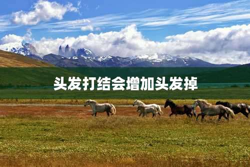 头发打结会增加头发掉