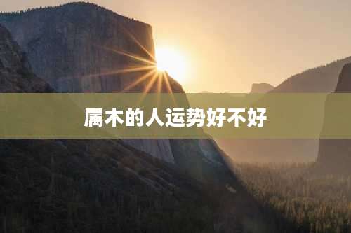 属木的人运势好不好