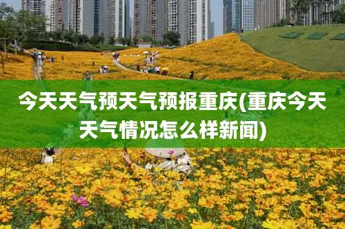 今天天气预天气预报重庆(重庆今天天气情况怎么样新闻)