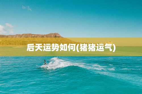 后天运势如何(猪猪运气)