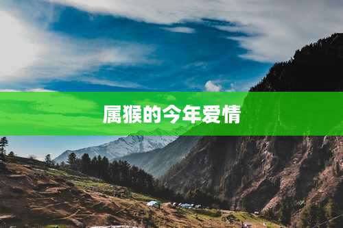 属猴的今年爱情