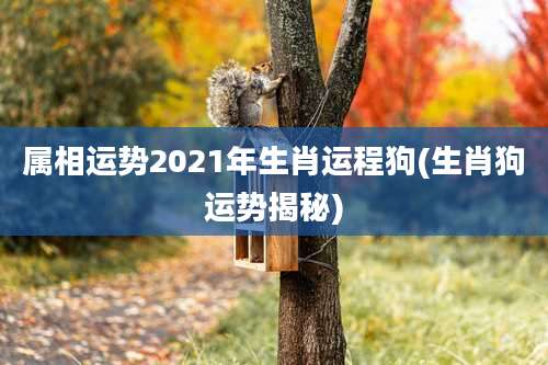 属相运势2021年生肖运程狗(生肖狗运势揭秘)