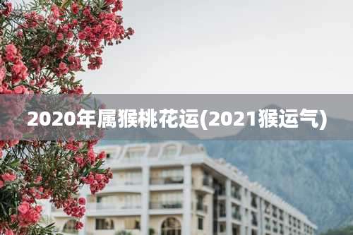 2020年属猴桃花运(2021猴运气)