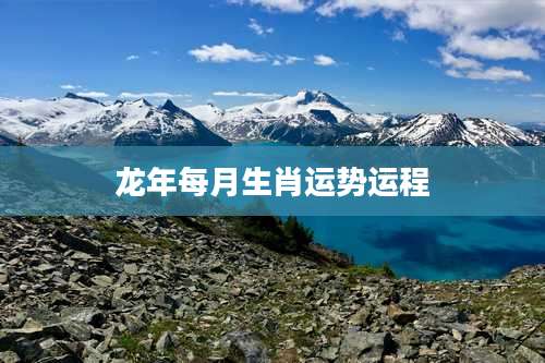 龙年每月生肖运势运程