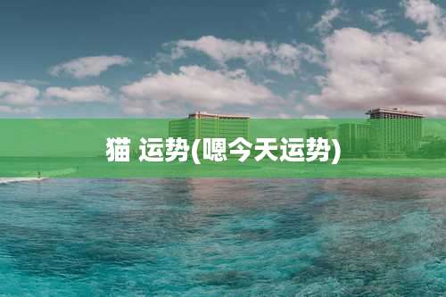 猫 运势(嗯今天运势)