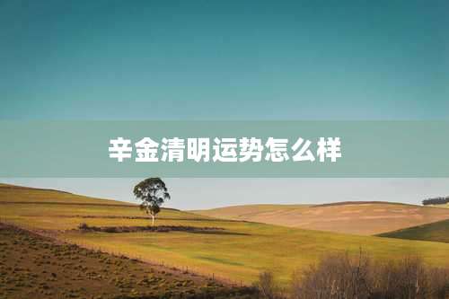 辛金清明运势怎么样