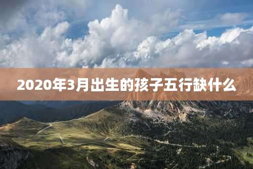 2020年3月出生的孩子五行缺什么