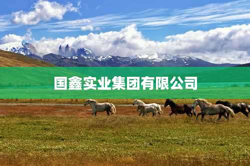 国鑫实业集团有限公司