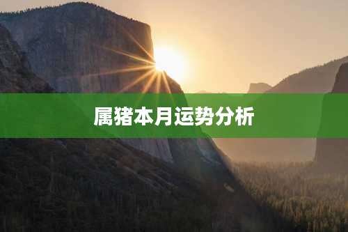 属猪本月运势分析