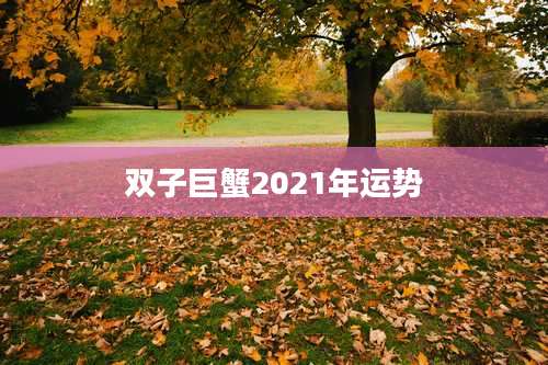 双子巨蟹2021年运势