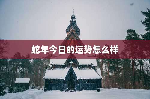 蛇年今日的运势怎么样