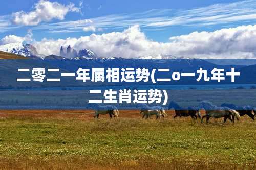 二零二一年属相运势(二o一九年十二生肖运势)