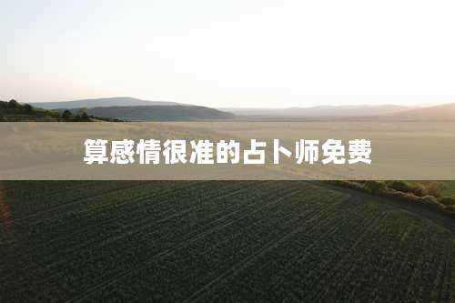 算感情很准的占卜师免费