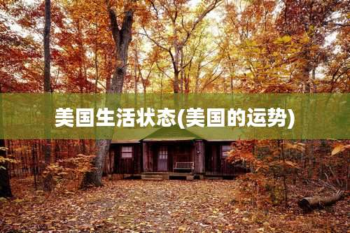 美国生活状态(美国的运势)
