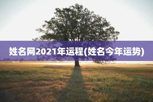 姓名网2021年运程(姓名今年运势)