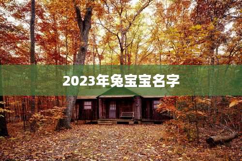 2023年兔宝宝名字