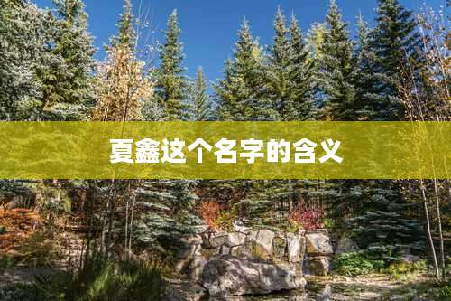 夏鑫这个名字的含义