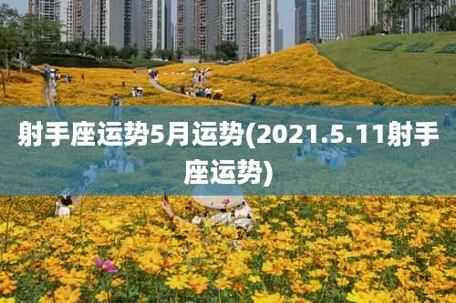 射手座运势5月运势(2021.5.11射手座运势)