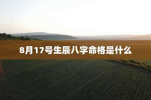 8月17号生辰八字命格是什么