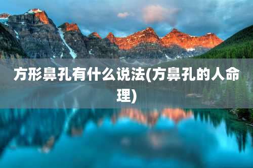 方形鼻孔有什么说法(方鼻孔的人命理)