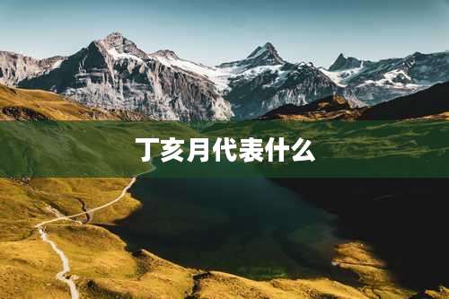丁亥月代表什么