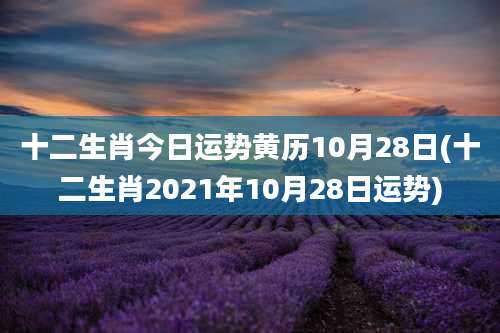 十二生肖今日运势黄历10月28日(十二生肖2021年10月28日运势)