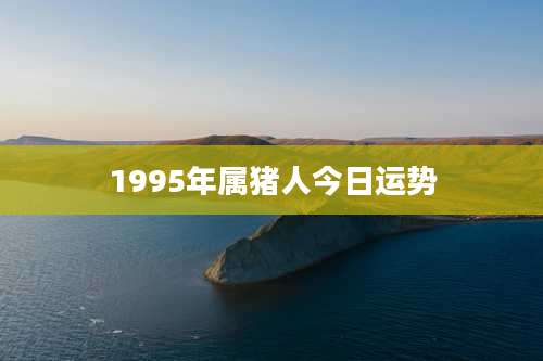 1995年属猪人今日运势