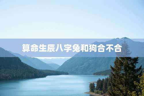 算命生辰八字兔和狗合不合