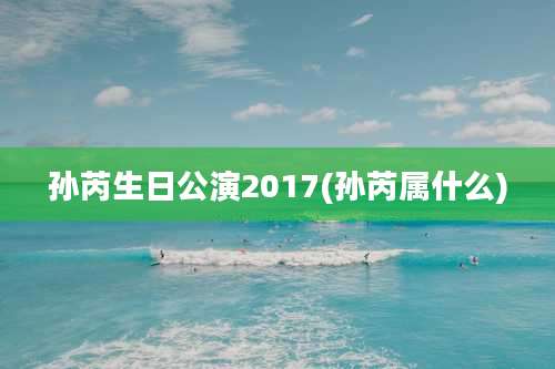 孙芮生日公演2017(孙芮属什么)