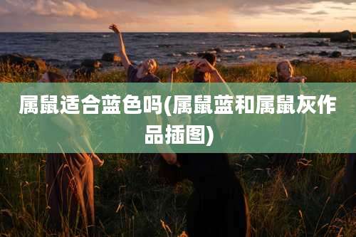 属鼠适合蓝色吗(属鼠蓝和属鼠灰作品插图)