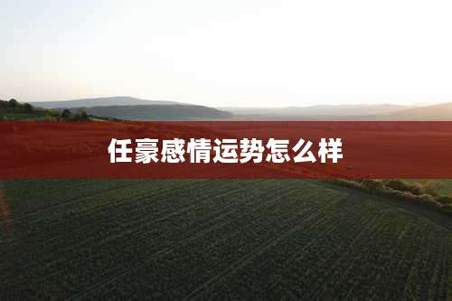 任豪感情运势怎么样