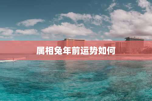 属相兔年前运势如何