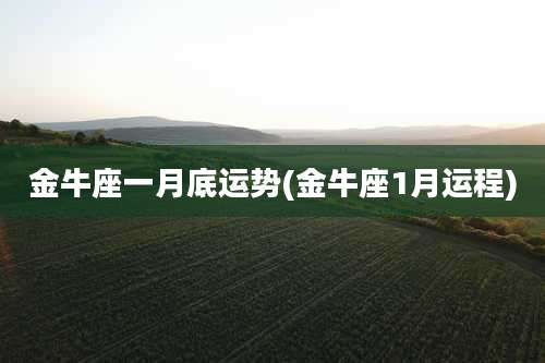 金牛座一月底运势(金牛座1月运程)